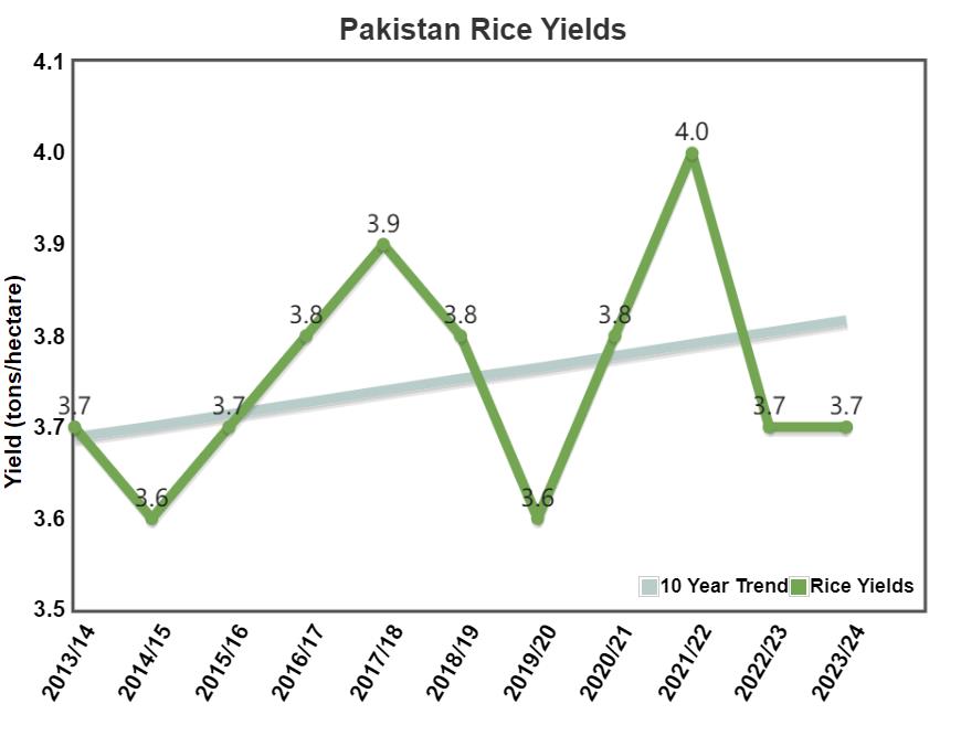 Pakistan's rice exports set to reach a record high in FY 23-24 on good crop output
